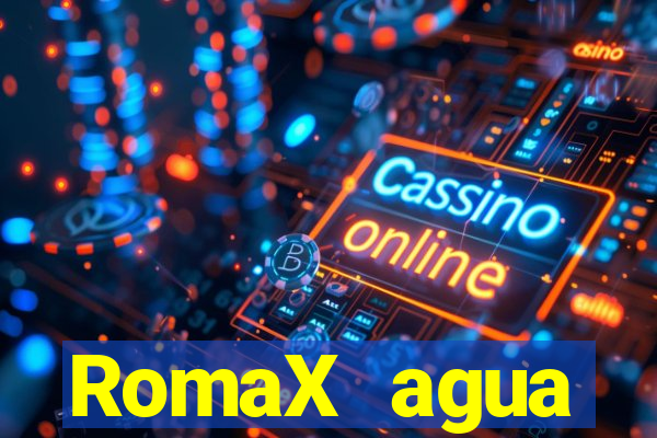 RomaX agua sanitaria fispq agua sanitaria romax